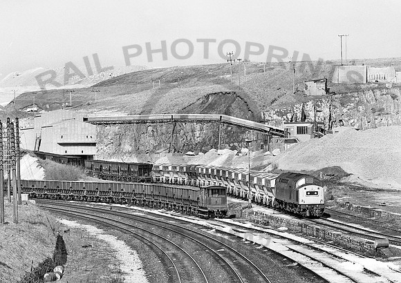40155-Y-PeakForest-230382-031281-JC559