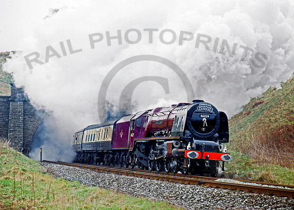 46229 Moorcock Tunnel 130491 BR925