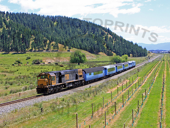 DX5229-Blenheim-051110-JC