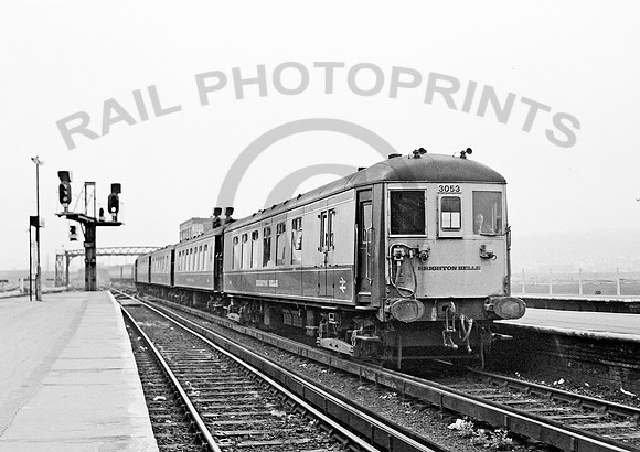 3053-Y-Brighton-260472-HB1342133