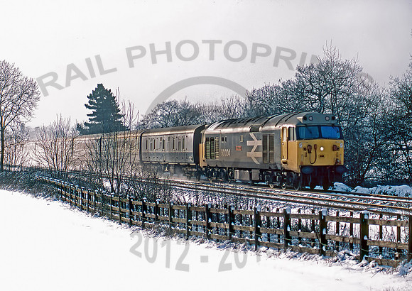 50004-Y-Lickey-150185-BR277