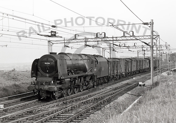 46256-Y-Weaver-0563-Raw945