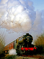 60800 Ramsbottom 130201 BR393