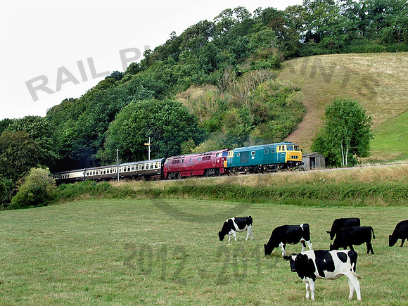 1010 & D7017 -  1010 Castle Hill 140804-JC