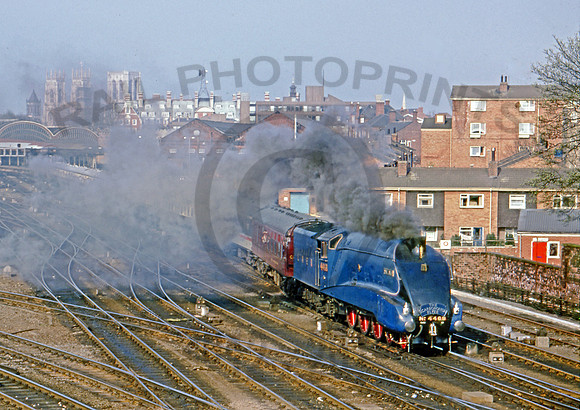 4468 York 260487 BR659